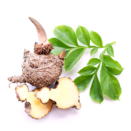 Dalchini: Bark Cinnamon / Twak Benefits & Uses | Dabur